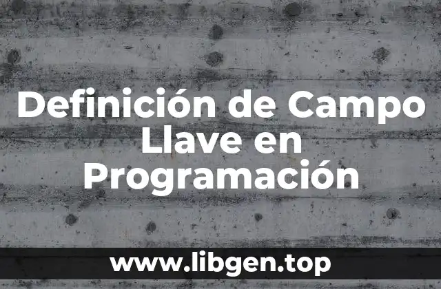 Definición de Campo Llave en Programación