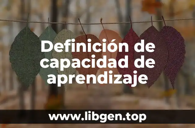Definición de capacidad de aprendizaje