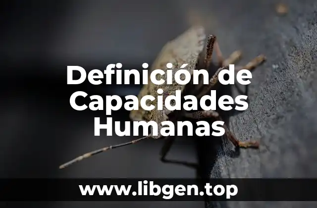Definición de Capacidades Humanas