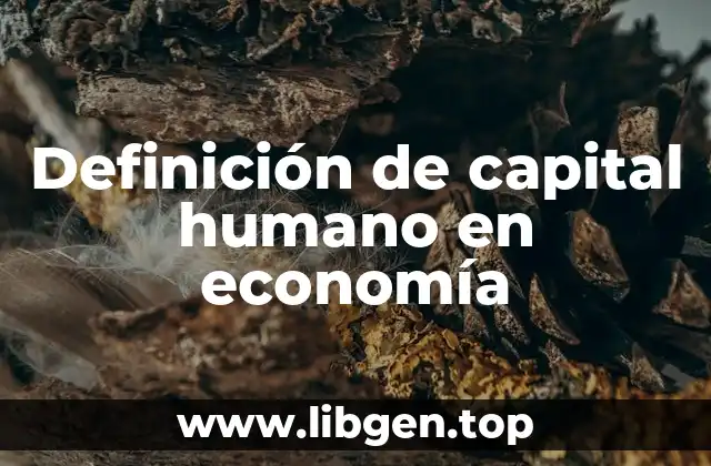 Definición de capital humano en economía