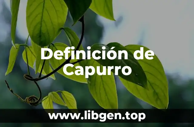 Definición de Capurro