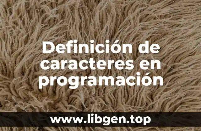 Definición de caracteres en programación