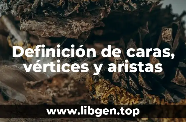 Definición de caras, vértices y aristas