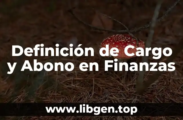 Definición de Cargo y Abono en Finanzas