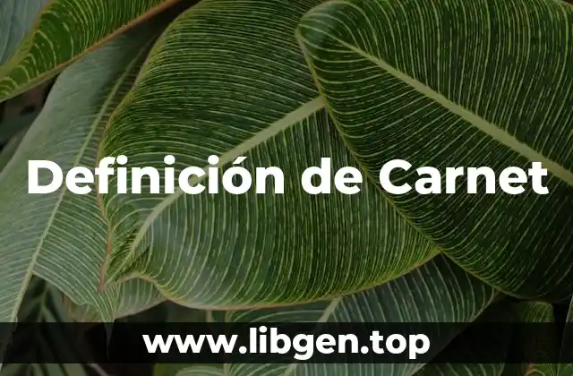 Definición de Carnet