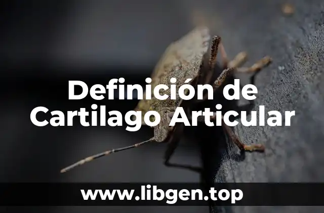 Definición de Cartilago Articular
