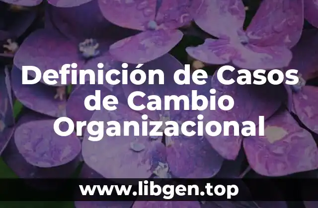 Definición de Casos de Cambio Organizacional