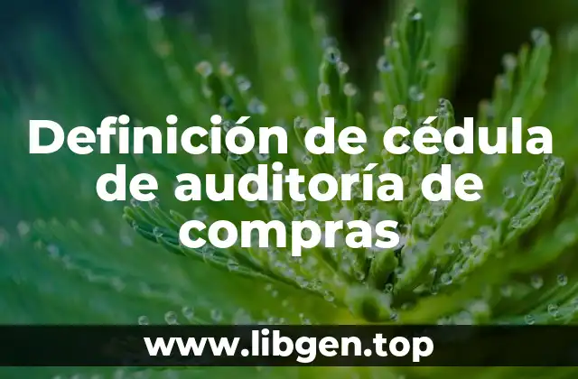 Definición de cédula de auditoría de compras