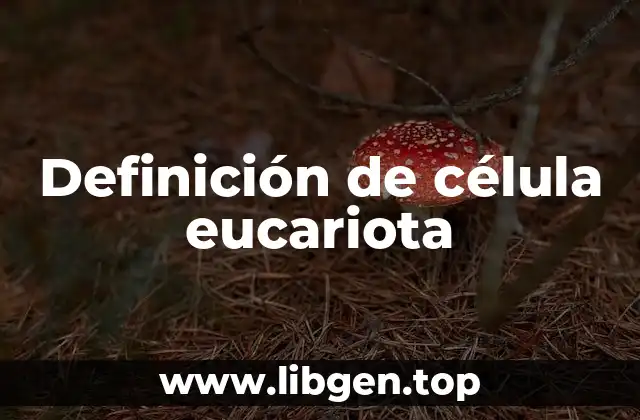 Definición de célula eucariota
