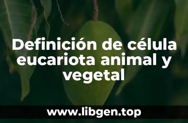 Ejemplos de células eucariotas animales y vegetales