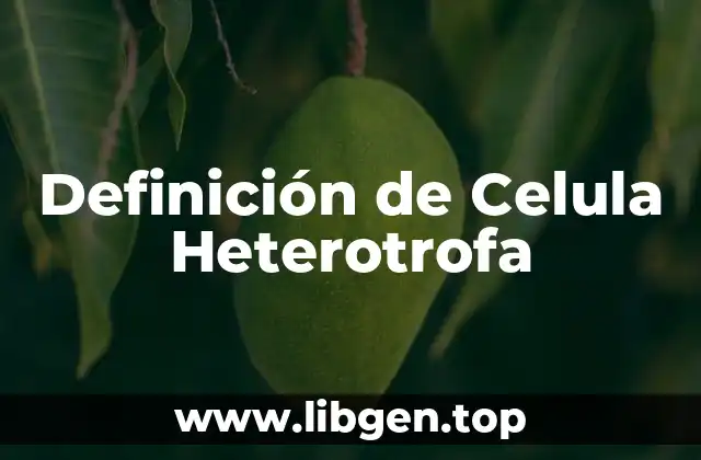 Definición de Celula Heterotrofa