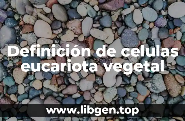 Definición de celulas eucariota vegetal