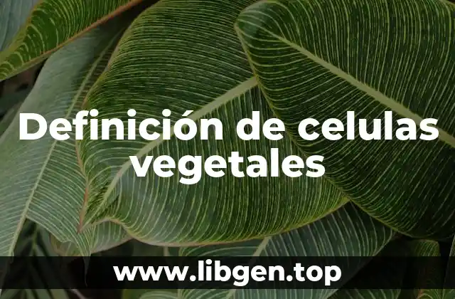 Ejemplos de células vegetales
