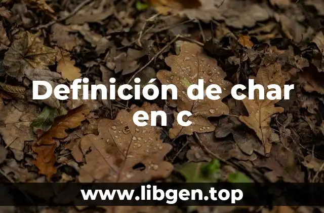 Definición de char en c