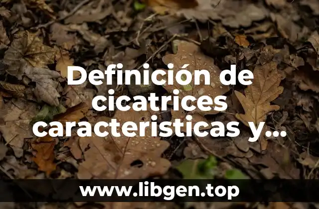 Definición de cicatrices caracteristicas y clasificación