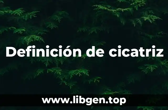 Definición técnica de cicatriz