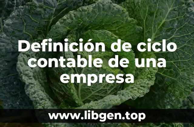 Definición de ciclo contable de una empresa