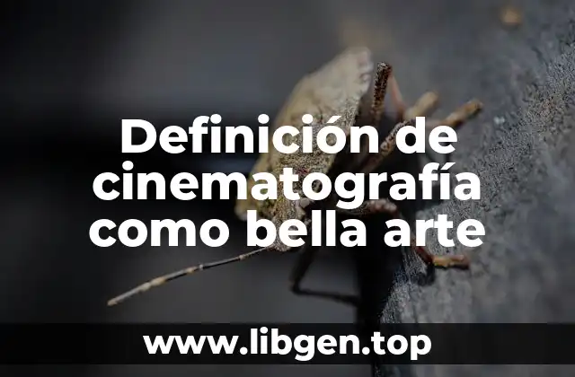Definición de cinematografía como bella arte