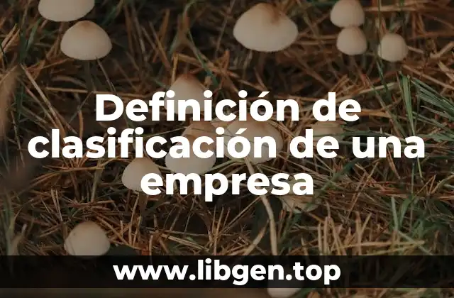 Definición de clasificación de una empresa