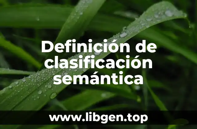 Definición de clasificación semántica