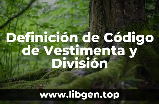 Definición de Código de Vestimenta y División
