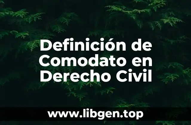 Definición Técnica de Comodato