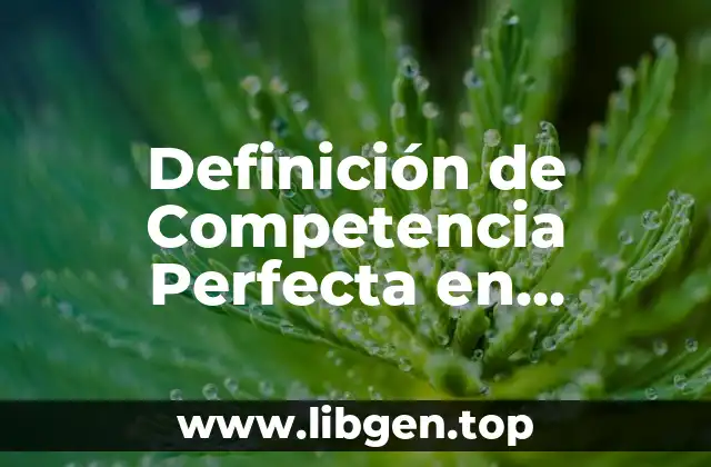 Definición de Competencia Perfecta en Economía