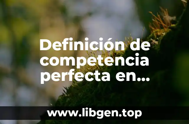 Ejemplos de competencia perfecta en empresas