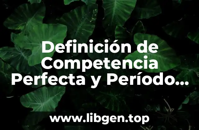 Definición de Competencia Perfecta y Período de Mercado