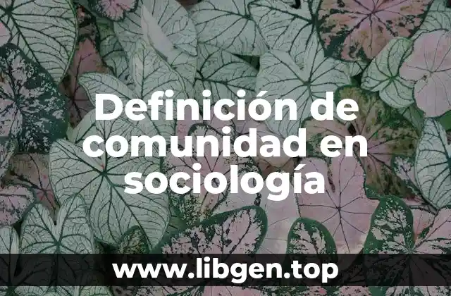 Definición de comunidad en sociología
