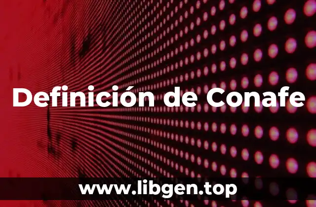 Definición de Conafe