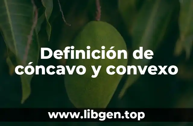 Definición de cóncavo y convexo