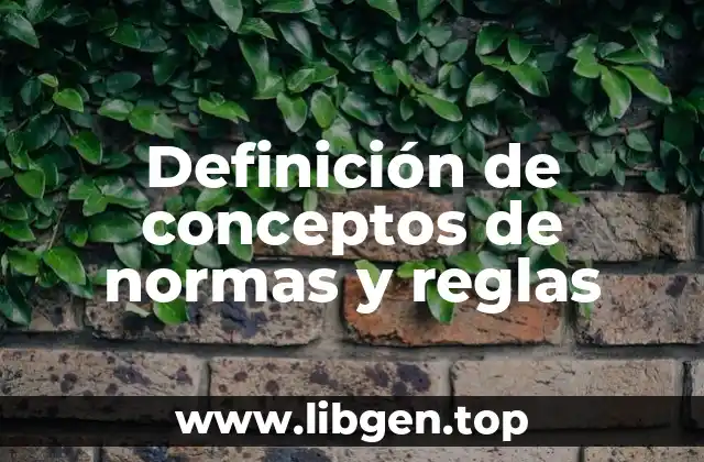 Definición de conceptos de normas y reglas