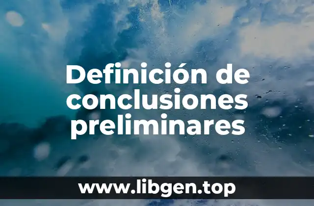 Definición de conclusiones preliminares