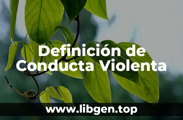 Definición de Conducta Violenta