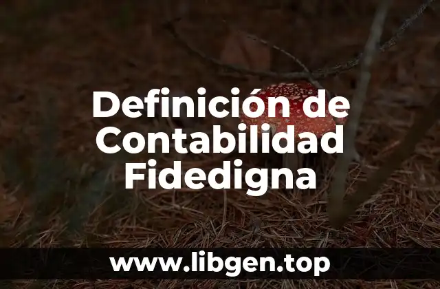 Definición de Contabilidad Fidedigna