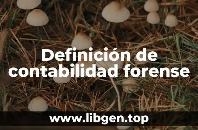 Definición de contabilidad forense