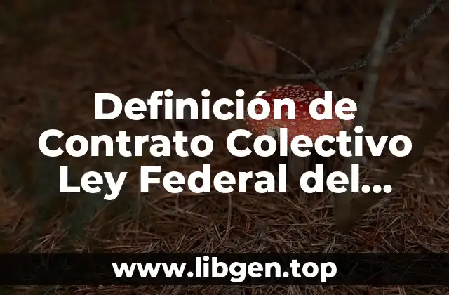Definición de Contrato Colectivo Ley Federal del Trabajo
