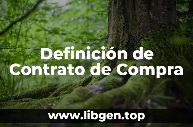 Ejemplos de Contrato de Compra-Ventas de Viveres