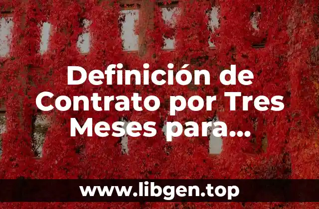 Definición de Contrato por Tres Meses para Empleados