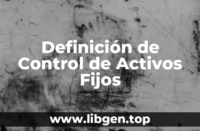 Definición de Control de Activos Fijos