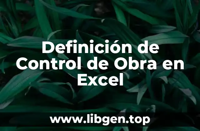 Definición de Control de Obra en Excel