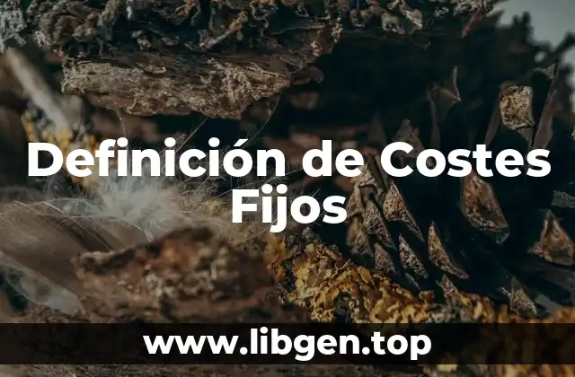 Definición de Costes Fijos
