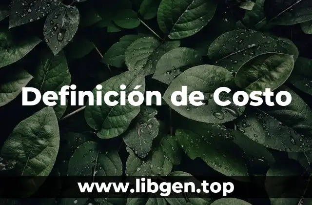 Definición Técnica de Costo-Beneficio en Salud