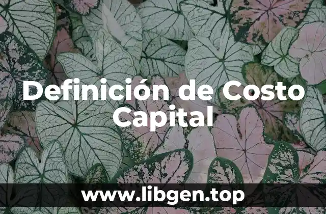 Ejemplos de Costo Capital