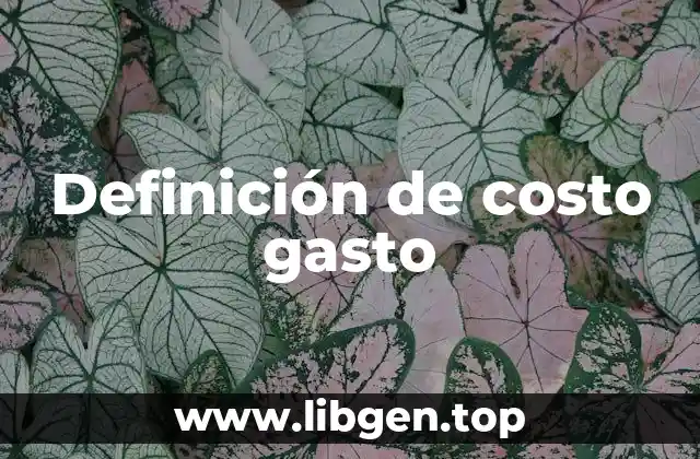 Definición de costo gasto