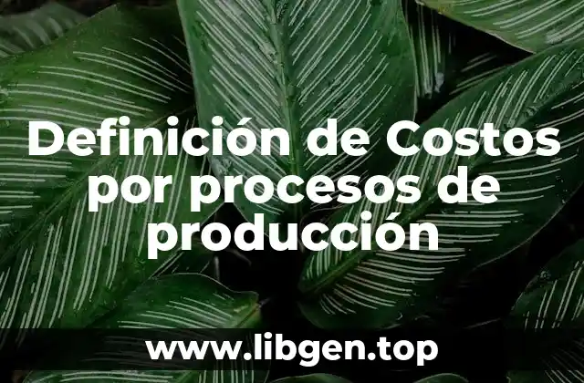 Definición de Costos por procesos de producción