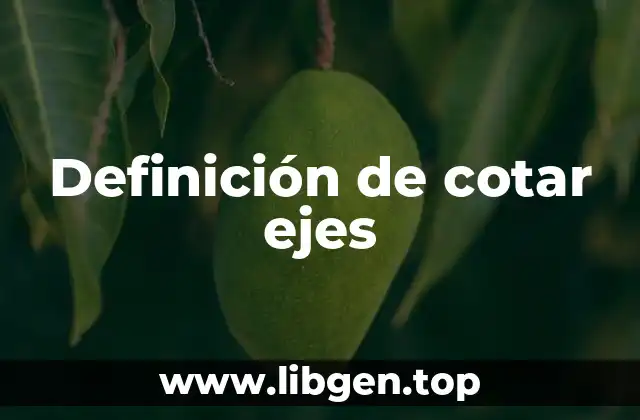 Definición de cotar ejes