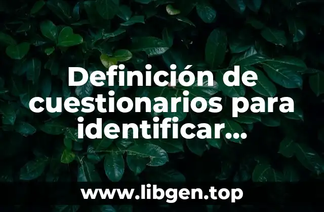 Definición de cuestionarios para identificar estructura de la empresa