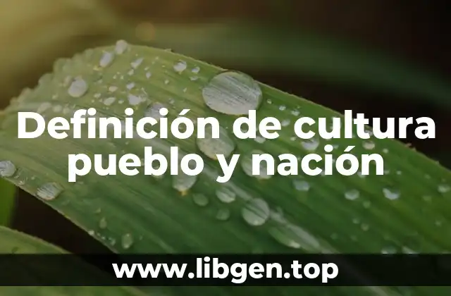 Definición técnica de cultura pueblo y nación